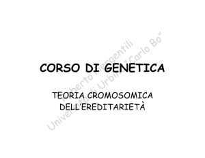 Teoria cromosomica dell`ereditarieta`