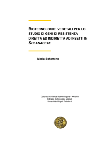 BIOTECNOLOGIE VEGETALI PER LO STUDIO DI GENI DI