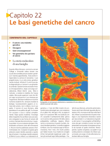 Capitolo 22 Le basi genetiche del cancro