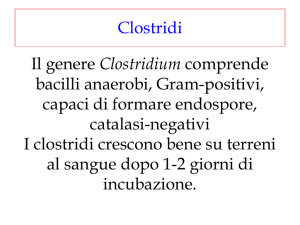 Spe-09 Clostridi - Sezione di Microbiologia