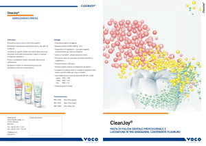 CleanJoy - VOCO GmbH