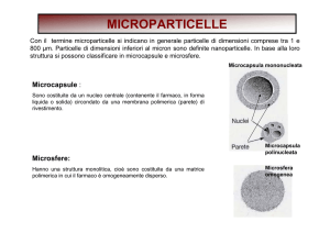 MICROPARTICELLE