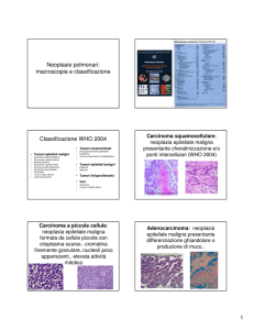 Neoplasie polmonari: macroscopia e classificazione Classificazione