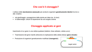 Estrazione DNA plasmidico