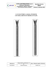 DBG2 ACEA DISTRIBUZIONE S.p.A. CAVI ELETTRICI A BASSA