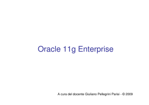 Scarica PDF di Oracle 11g Enterprise parte 1 e 2