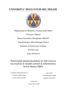 UNIVERSITA` DEGLI STUDI DEL MOLISE Potenzialità