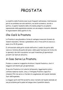 Leggi tutto > PDF 72Kb