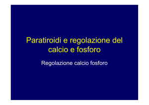 Paratiroidi e regolazione del Paratiroidi e regolazione del calcio e