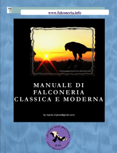 Breve manuale di falconeria classica e moderna