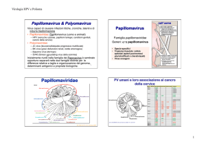 03 HPV e Polioma 201..