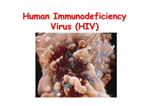 HIV-influenzaSE09