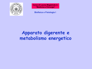 Presentazione di PowerPoint - Dipartimento di Biochimica Biofisica