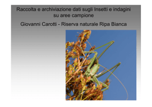 Riserva naturale Ripa Bianca - Regione Marche