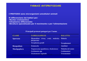 farmaci antiprotozoari