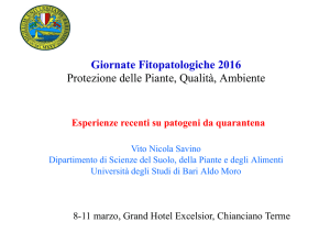 Giornate Fitopatologiche 2016 Protezione delle Piante, Qualità