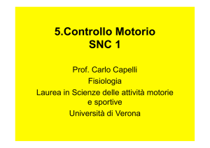 La Corteccia Motoria