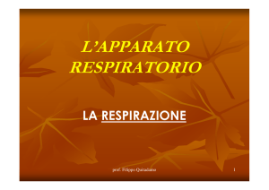 apparato_respiratorio_umano