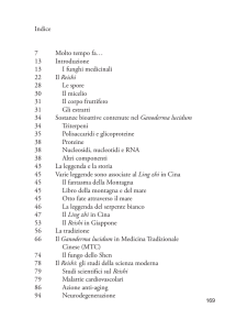 Indice  - Nuova Ipsa Editore