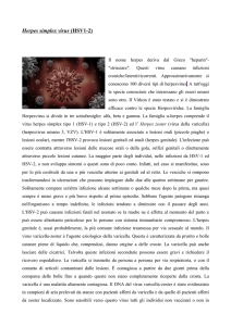 Herpes simplex virus (HSV1