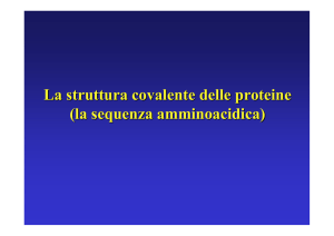 6 sequenziamento proteine