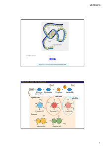 Acidi nucleici Solo RNA Solo DNA