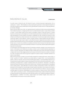 neuroni e glia - Università degli studi di Pavia