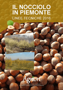 Linee tecniche per la coltivazione del nocciolo 2016