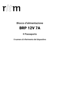 BRP 12V 7A