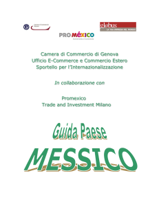 Guida Paese Messico edizione 2013