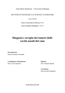 Diagnosi e terapia dei tumori delle cavità nasali del cane