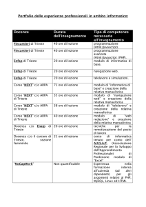 Portfolio delle esperienze professionali in ambito informatico