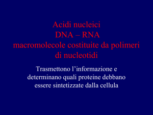 DNA - Materiale Scienze della Formazione Primaria