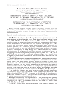 ESPRESSIONE DEI GENI DEPUTATI ALLA VIRULENZA IN