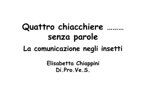 Quattro chiacchere senza parole. Comunicazione tra insetti