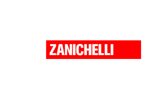 pdf - Zanichelli online per la scuola