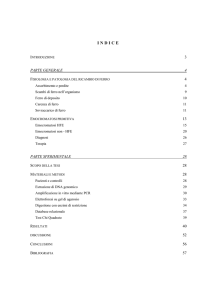 dispense su metabolismo ferro