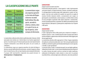 la classificazione delle piante - Associazione Guide e Scouts San