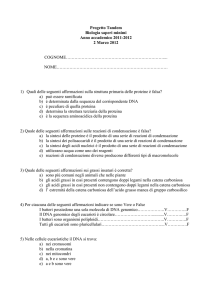 Prototipo prova scritta