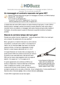 Un messaggio al contrario nascosto nel gene HD?