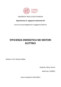 EFFICIENZA ENERGETICA NEI MOTORI ELETTRICI