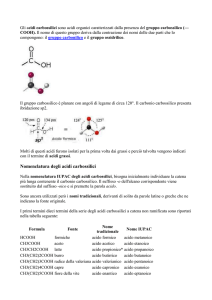 acidi carbossilici - LABORATORIO DI CHIMICA