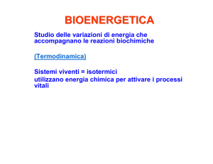 bioenergetica
