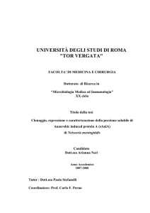 ART - TORVERGATA OA - Università degli Studi di Roma Tor Vergata