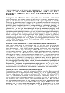 descrizione del progetto - Università degli Studi di Firenze