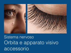 Formazioni accessori dell`occhio