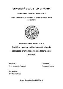 Visualizza/apri