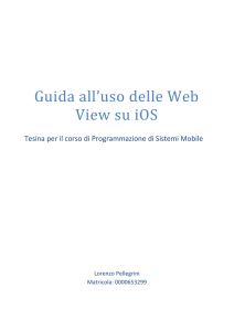 Guida all`uso delle Web View su iOS