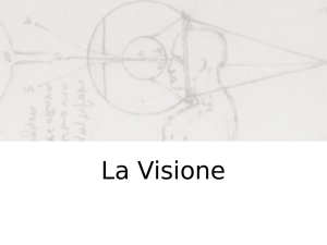 03-Visione - Biplab (Unisa)