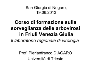 Corso di formazione sulla sorveglianza delle arbovirosi in Friuli